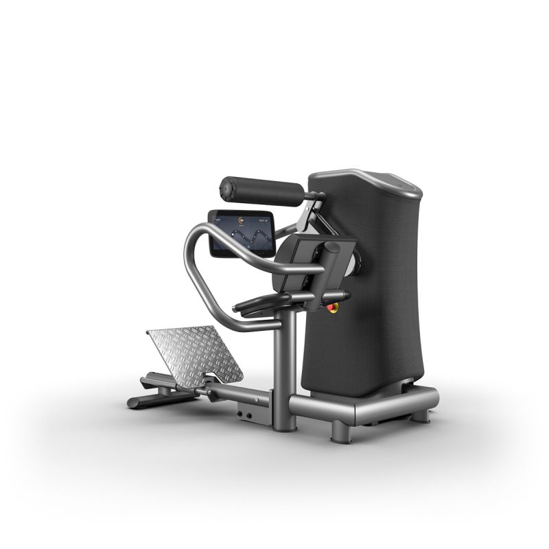 M3 Back Extension.png